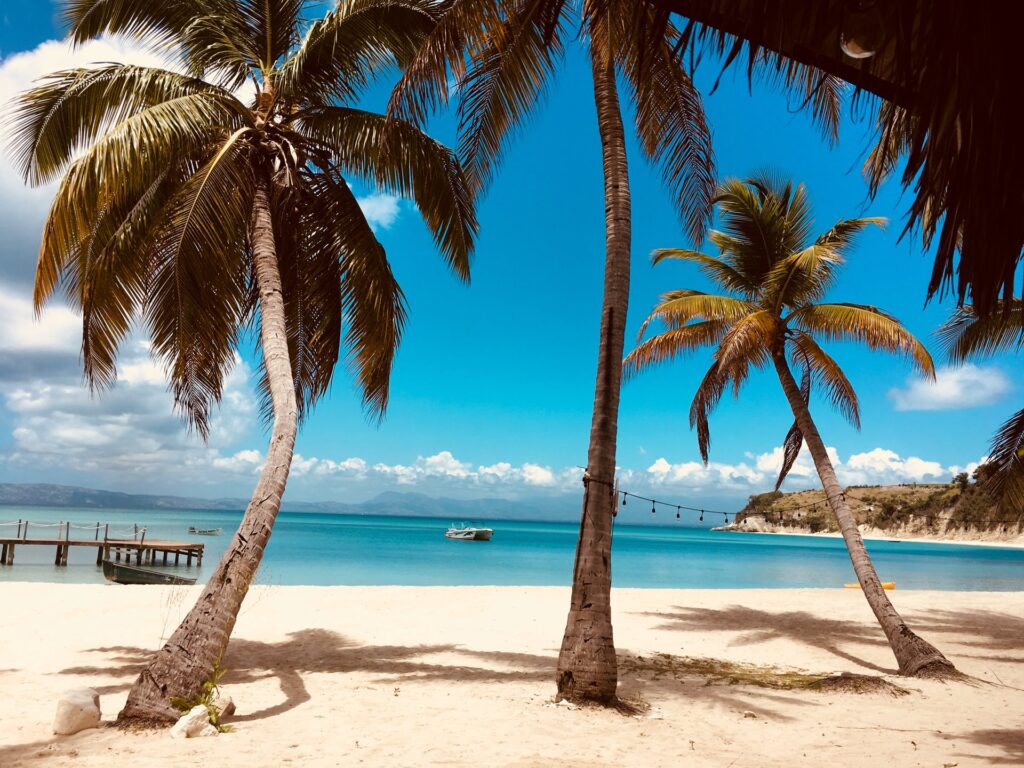 Palm-lined tropical beach